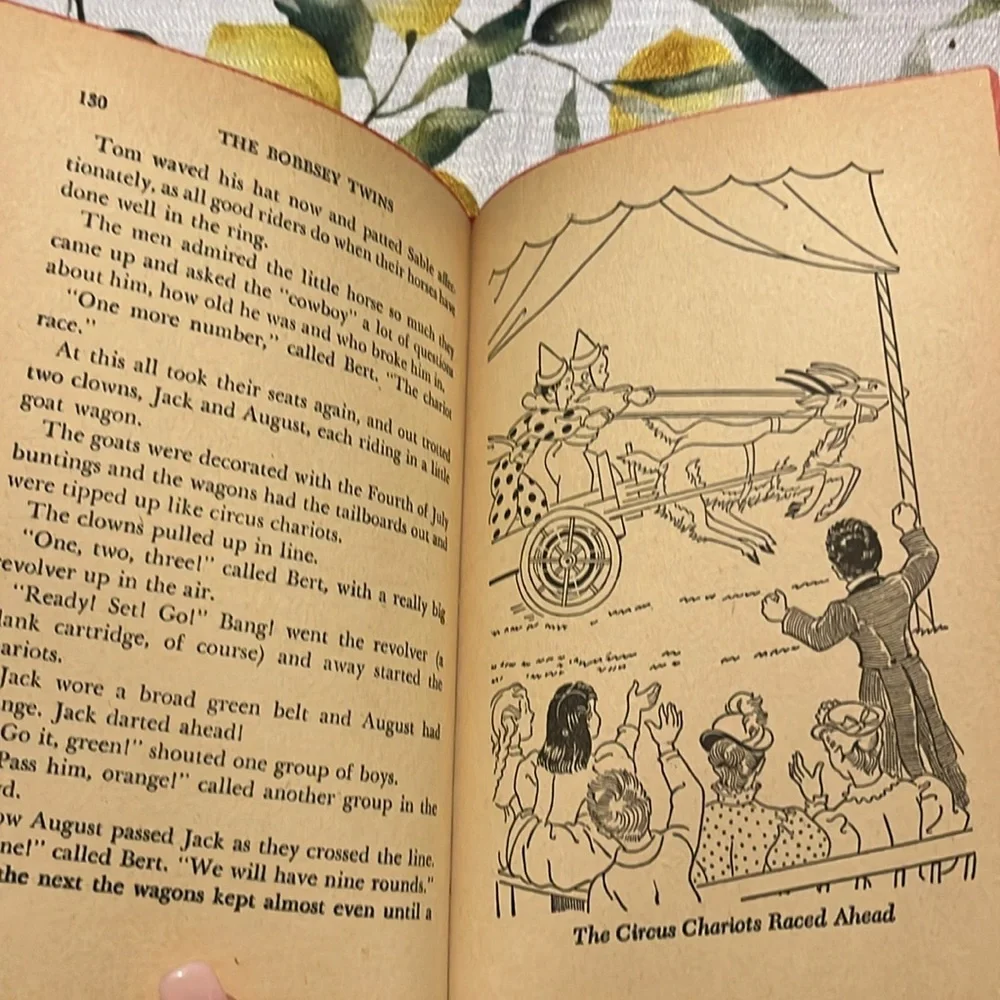 Vintage bobbsey twins